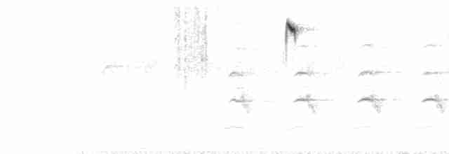Синеголовая нектарница - ML468786261