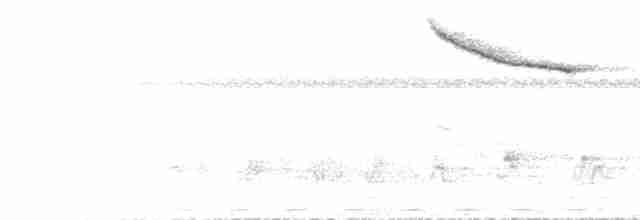 Papamoscas de Berlioz - ML468788001