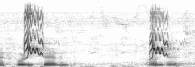 Челноклювый бентеви (pitangua) - ML46888