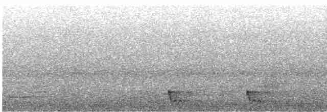 Large-tailed Nightjar - ML468913561