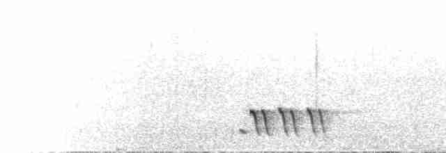 Папирусовая бормотушка - ML468919451