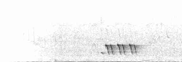 Papyrus Yellow-Warbler - ML468919521