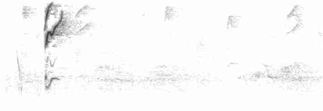Tangara Lacrimosa (pallididorsalis) - ML46892591