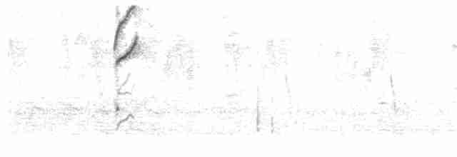 Tangara Lacrimosa (pallididorsalis) - ML46892601
