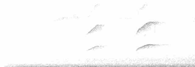 Sharp-shinned Hawk (Northern) - ML469007161