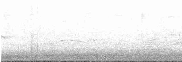 Cerulean Warbler - ML469032681