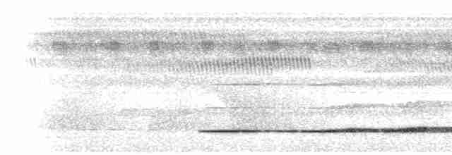 Variegated Tinamou - ML469081661