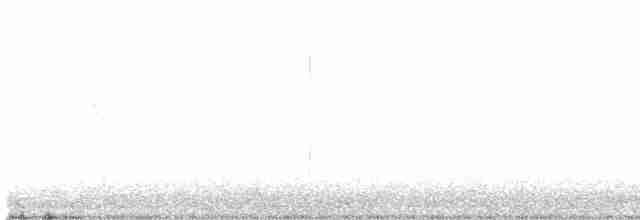 Kuzeyli Sert Kanatlı Kırlangıç - ML469116031