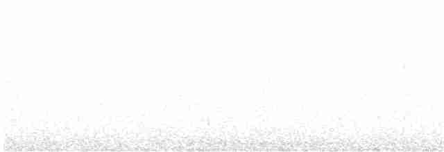 White-eared Honeyeater - ML469131071
