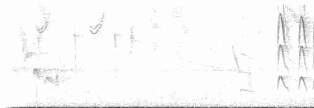 White-winged Brushfinch - ML469162991