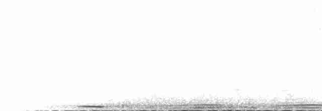 Gray Crowned-Crane - ML469181561