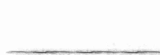 Gray Crowned-Crane - ML469181601