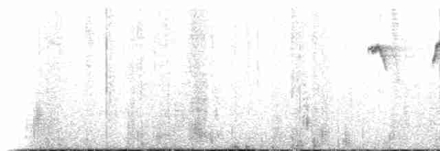 Kara Başlı Tiranulet - ML469212701