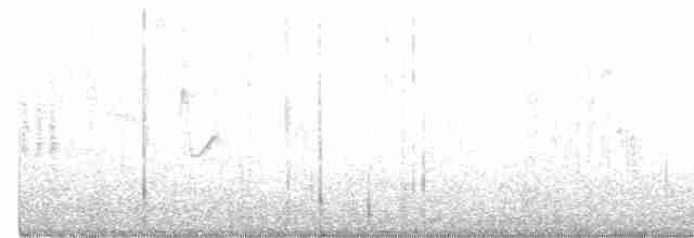 Large-billed Reed Warbler - ML469244321
