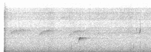 Brown-crested Flycatcher (Cooper's) - ML469295201