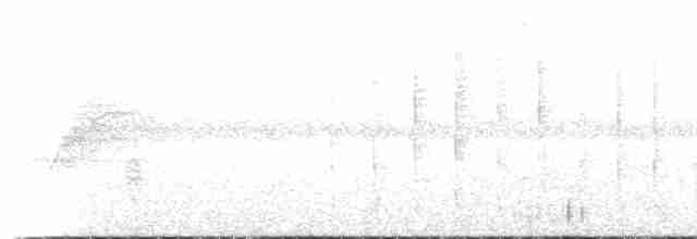 Тиранчик-довгохвіст рудокрилий - ML469350421