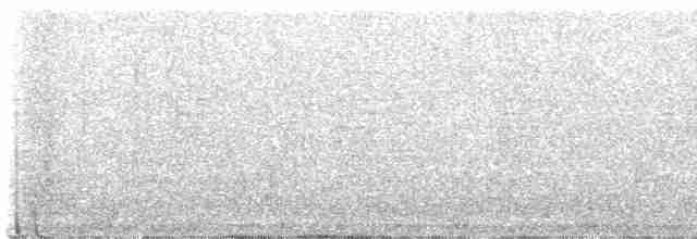 Вилохвістка плямиста - ML469379541