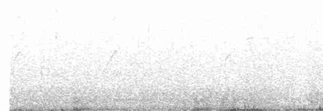Белая агуйла - ML469404701