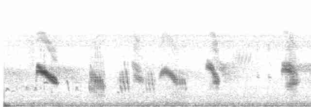 Golondrina Purpúrea - ML469411151