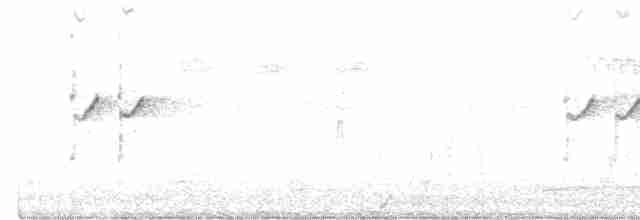 Улит-отшельник - ML469415221