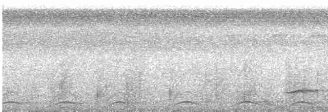 Лінивка-смугохвіст західна - ML469422161