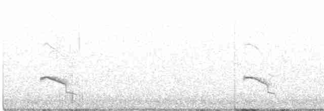 Little Ringed Plover - ML469450281