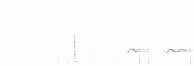Kanada Kargası (obscurus/griseus) - ML469547171
