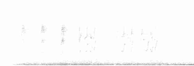 White-eared Monarch - ML469550901