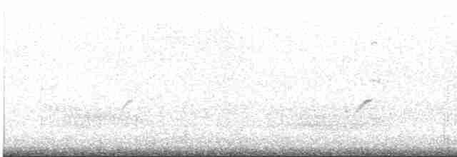 太平洋金斑鴴 - ML469617151
