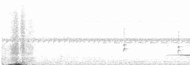 チャイロムジチメドリ（fulvescens グループ） - ML469691401