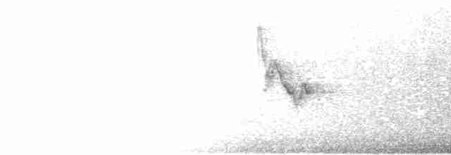 Белокрылая канделита - ML469776891