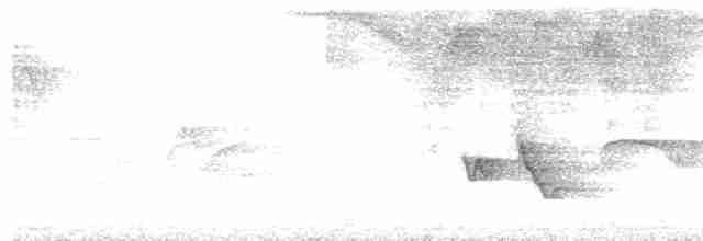 Cuitlacoche Oscuro - ML469805041