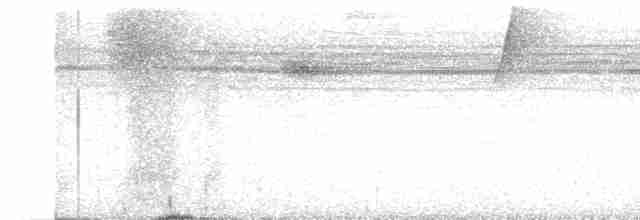 Weißkehl-Ameisenvogel - ML469862401