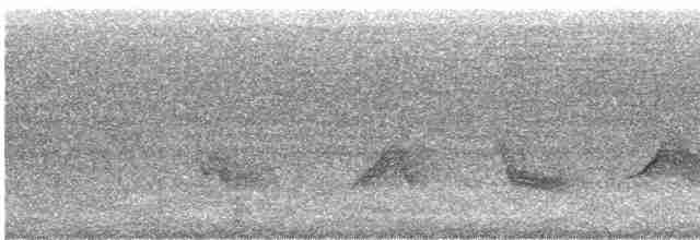 Чернокрылая пиранга - ML469908781