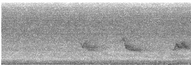 Чернокрылая пиранга - ML469908791
