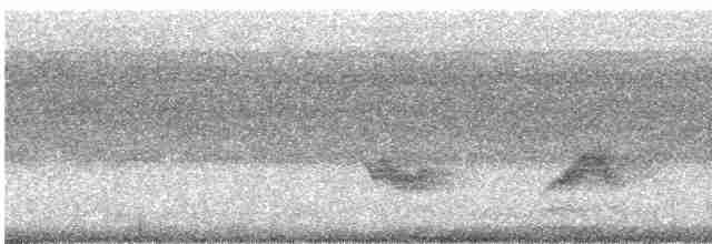 Чернокрылая пиранга - ML469908801