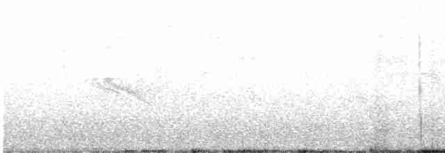 Вулкановый колибри - ML469918361