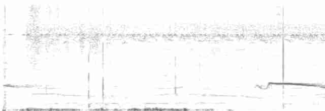 Gray-bellied Cuckoo - ML470009951
