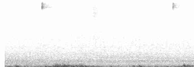 Dark-eyed Junco (Oregon) - ML470040781