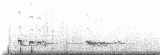 Pluvier oréophile - ML470065191