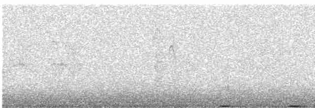 Тетерук гірський - ML470113151
