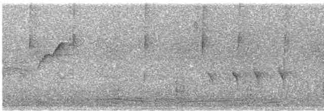Batı Amerika Sinekkapanı (occidentalis/hellmayri) - ML470116751