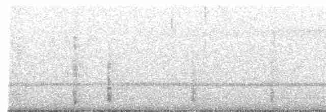 Gray Nightjar - ML470140361