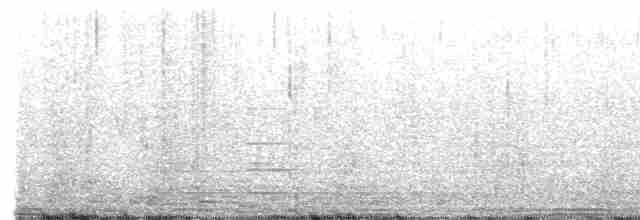 holub útesový - ML470160111