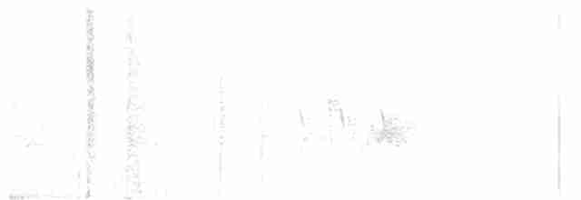 tyranovec vrbový - ML470168551