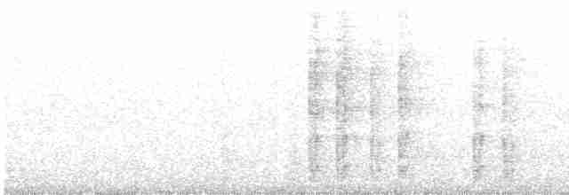 strakapoud bělohřbetý - ML470176541