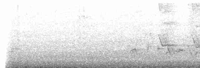 White-eared Bulbul - ML470178451