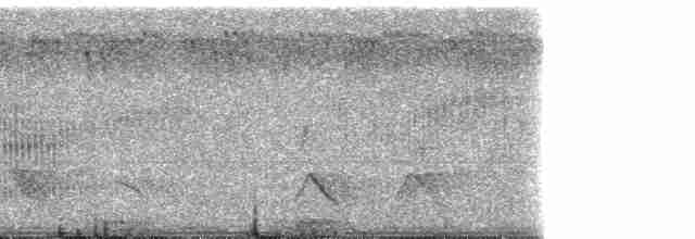 Braunstirn-Brillenvanga - ML47019