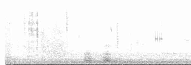 Black-browed Reed Warbler - ML470193621