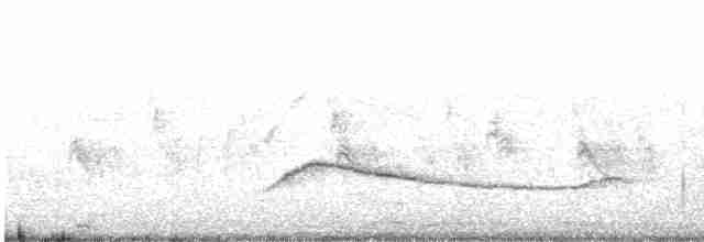 Шпак піренейський - ML470198511
